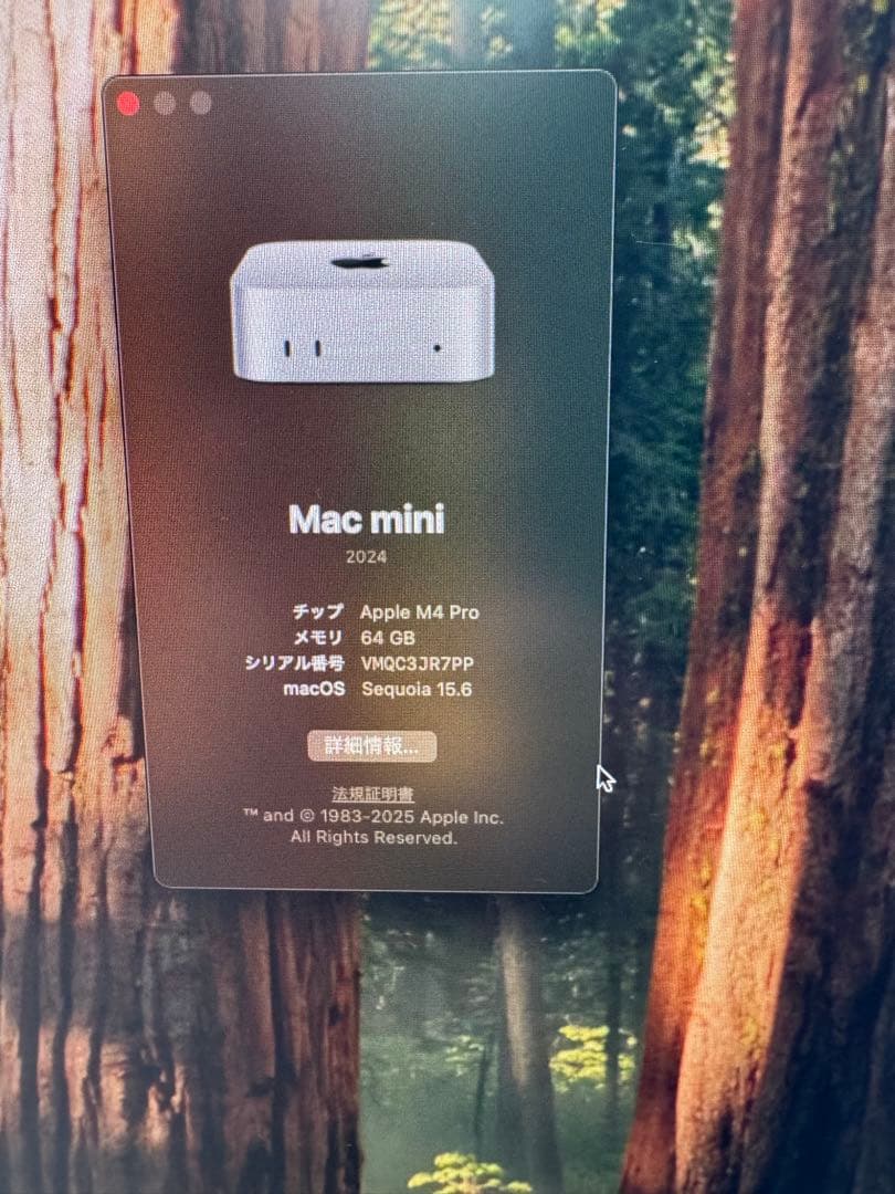 Mac mini 2024 M4pro メモリ64GB SSD 1TB