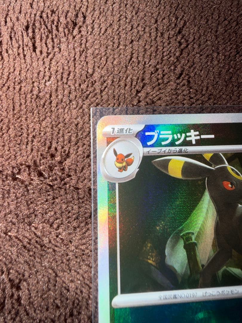 ブラッキー マスターボールミラー