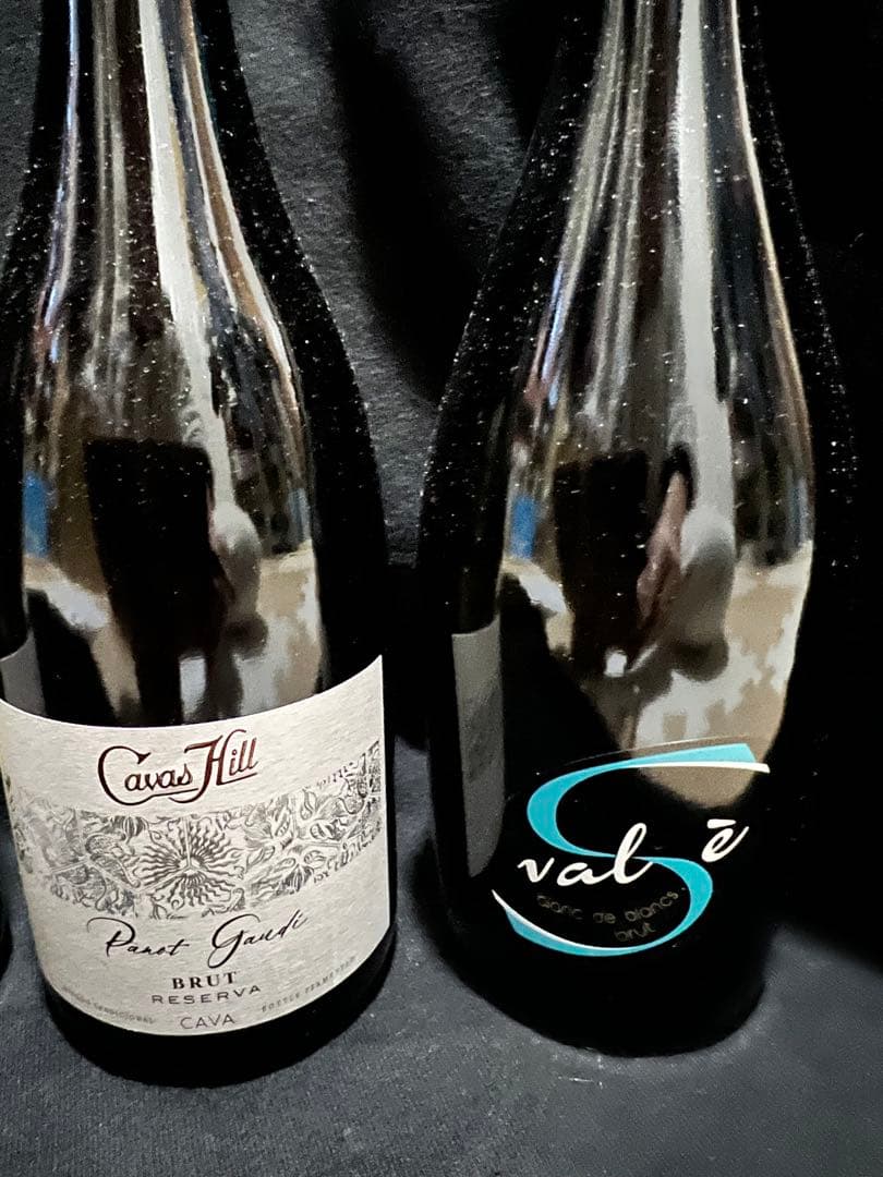 タムタン様ご検討中　ヨーロッパ産　ワイン＆スパークリングセット