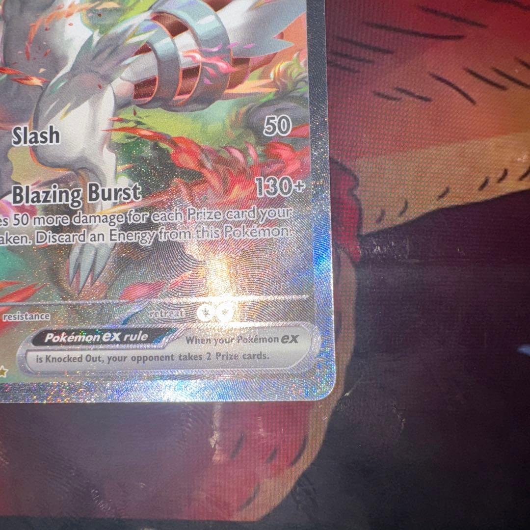 英語版 レシラムex SAR ホワイトフレア ポケカ ポケモンカード