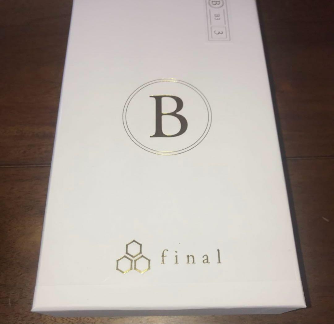 final B3 新品・未開封 イヤホン 有線 レア 生産終了 ハイエンド