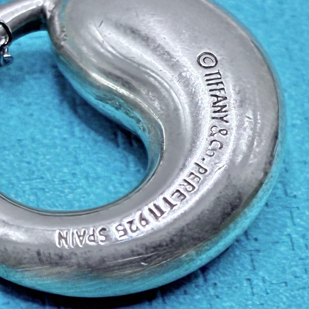 【希少】ティファニー エターナルサークル ネックレス ラージサイズ　社外