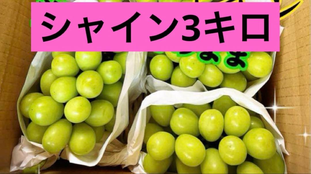 まゆゆ様★巨峰3キロとシャイン3キロ