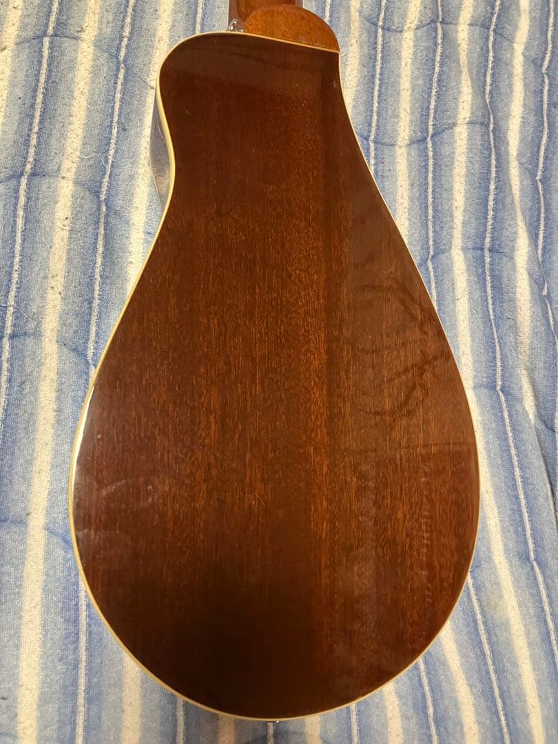 TINY BOY トラベルギター TT-40 N