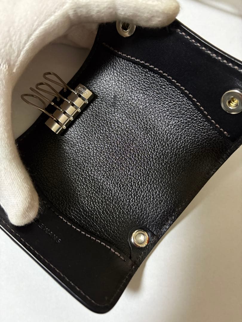 ワイルドスワンズ　クリッパー３　クロコダイル