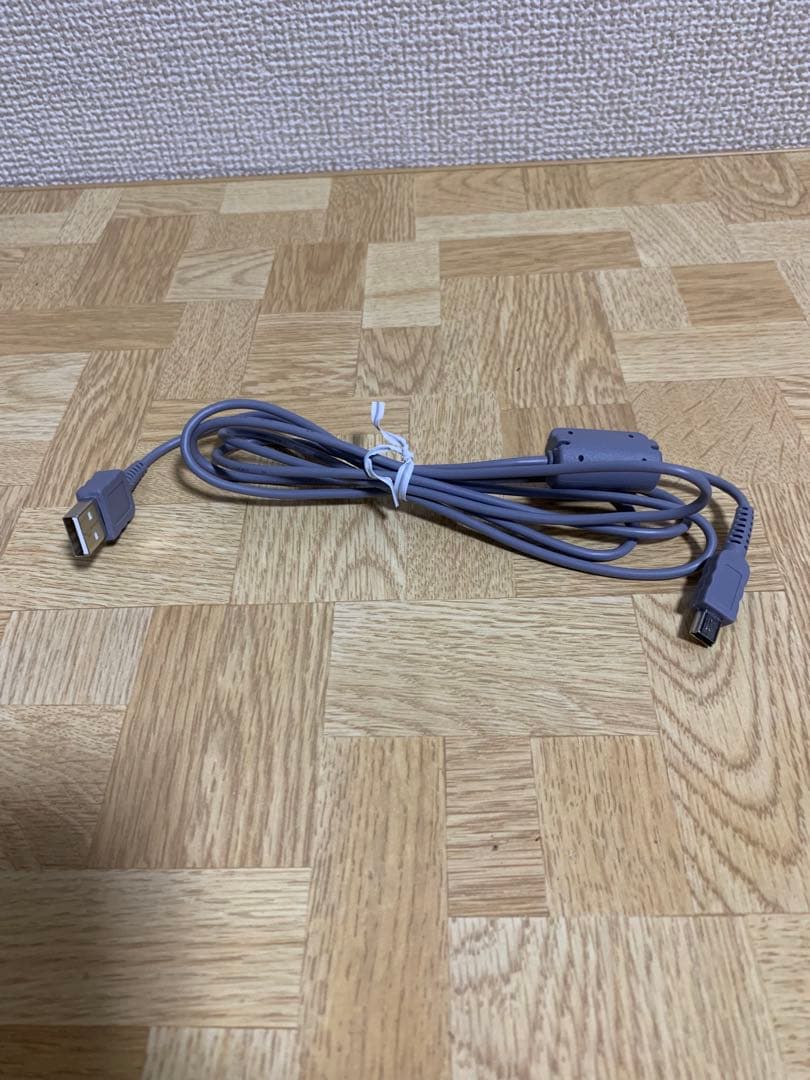 SONY ハンディカム DCR-SR100 ソニー