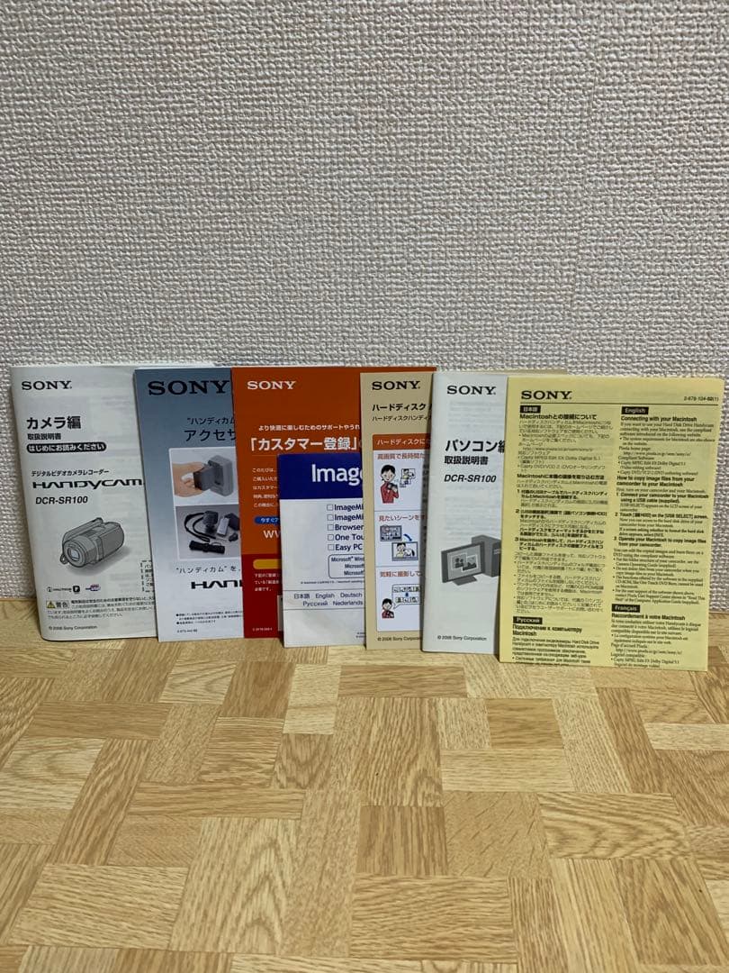 SONY ハンディカム DCR-SR100 ソニー