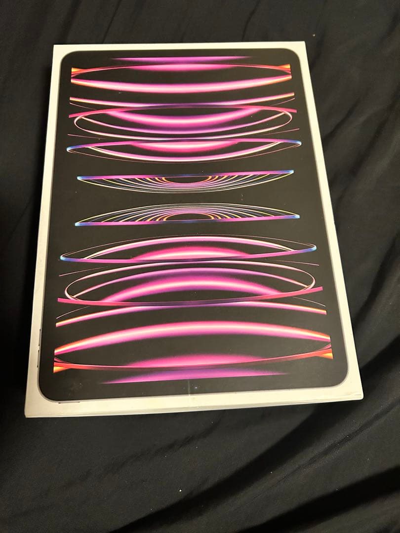 Apple iPad Pro 第4世代 WiFiモデル ケース付き