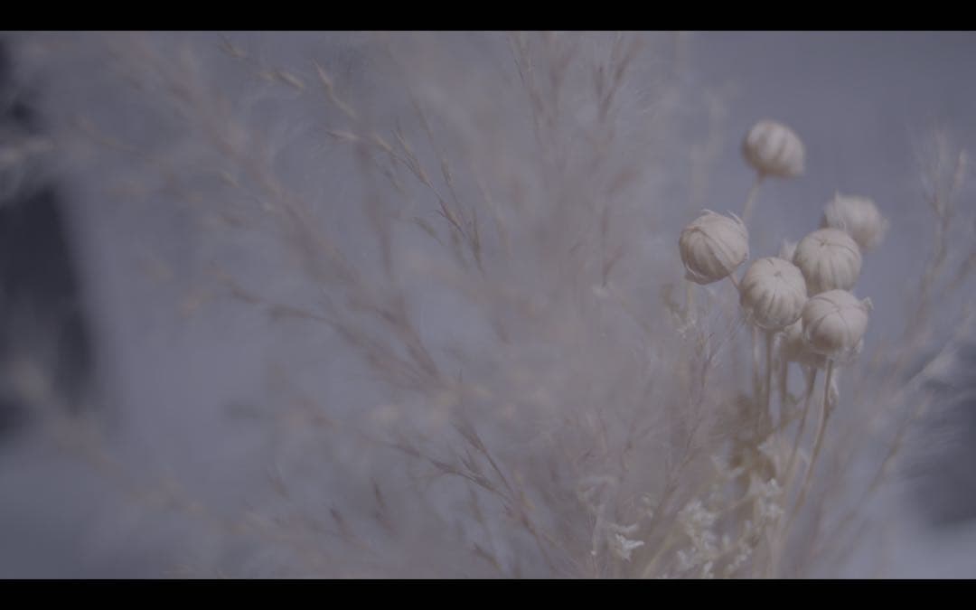 レア？　ALPA 28mm f2.8 PENTAX Kマウント