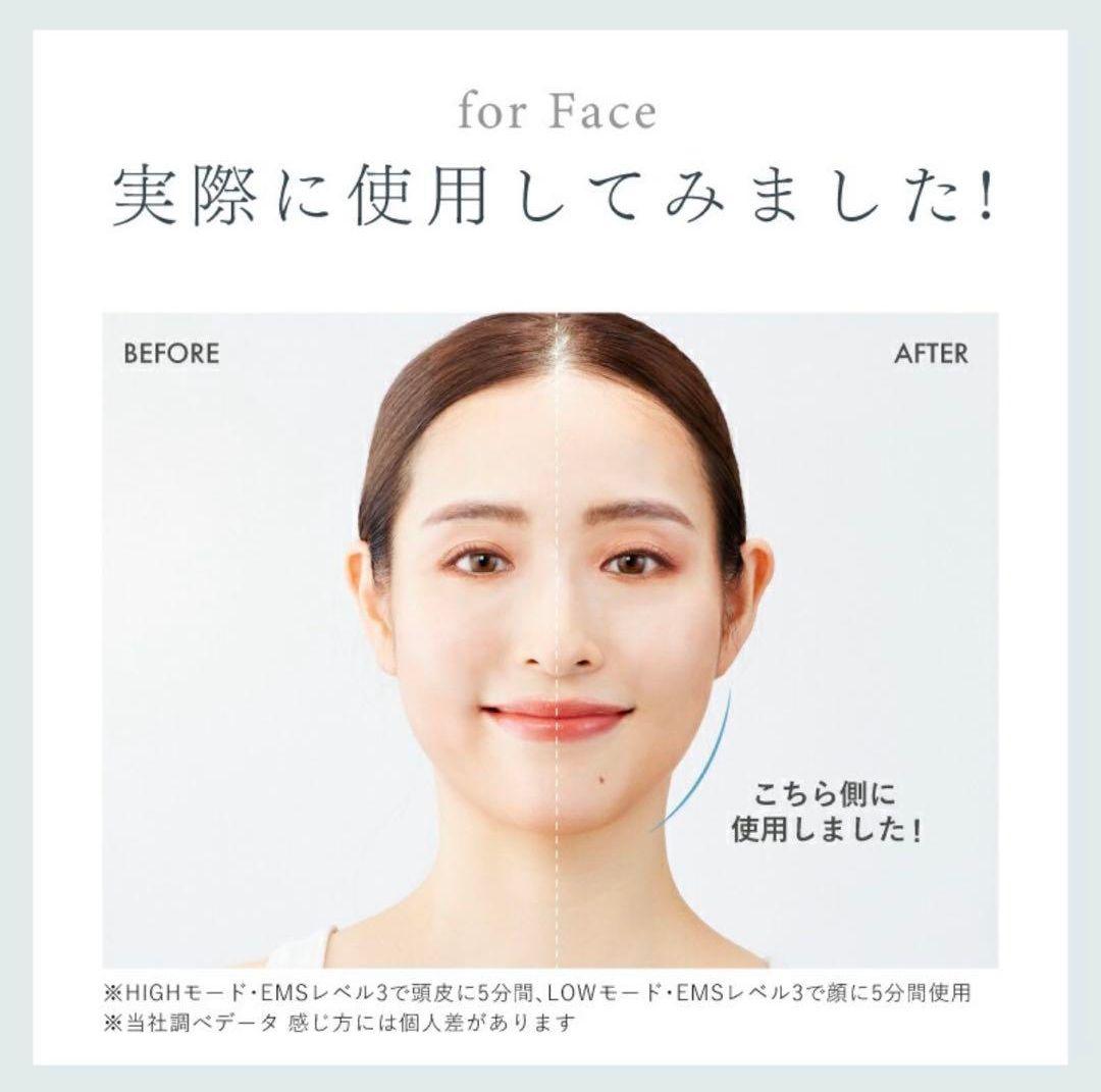 【新品未開封】NIPLUX EMS 美顔器　リフトアップ　電気ブラシ