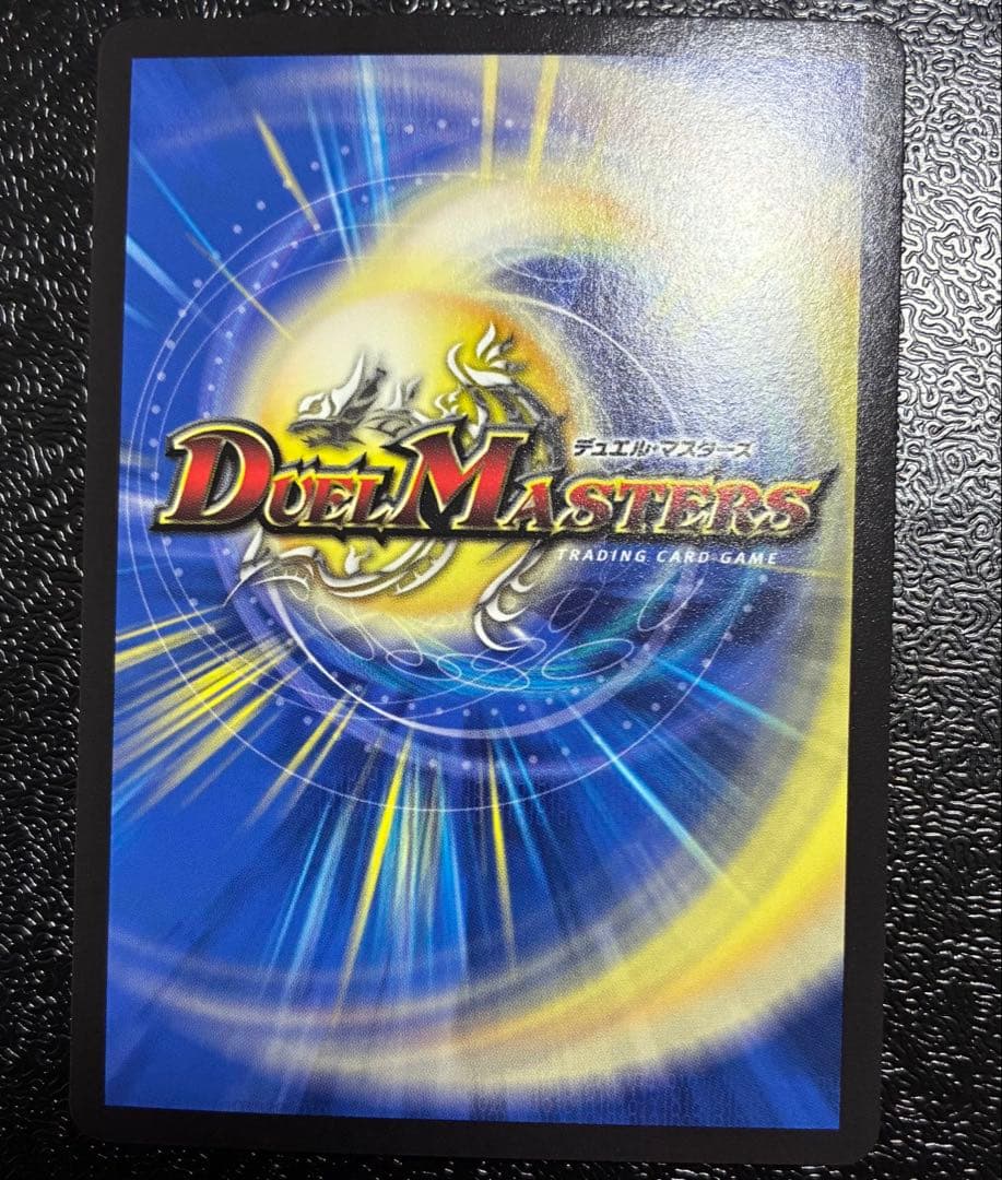 シャコガイル B