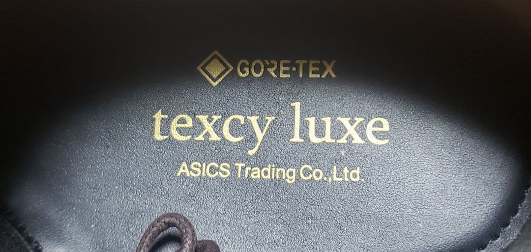 アシックス/texcy luxeTU8002 GORETEX 本革28.0cm