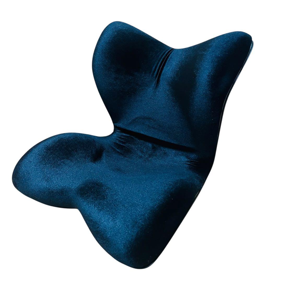 MTG スタイル プレミアム 姿勢矯正 骨盤サポートチェア　ブラック　座椅子