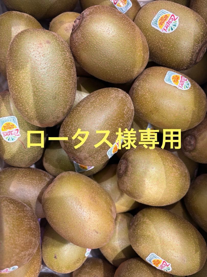 ロータスサンゴールドキウイフルーツ30玉サイズ48入れ✖︎２ケース
