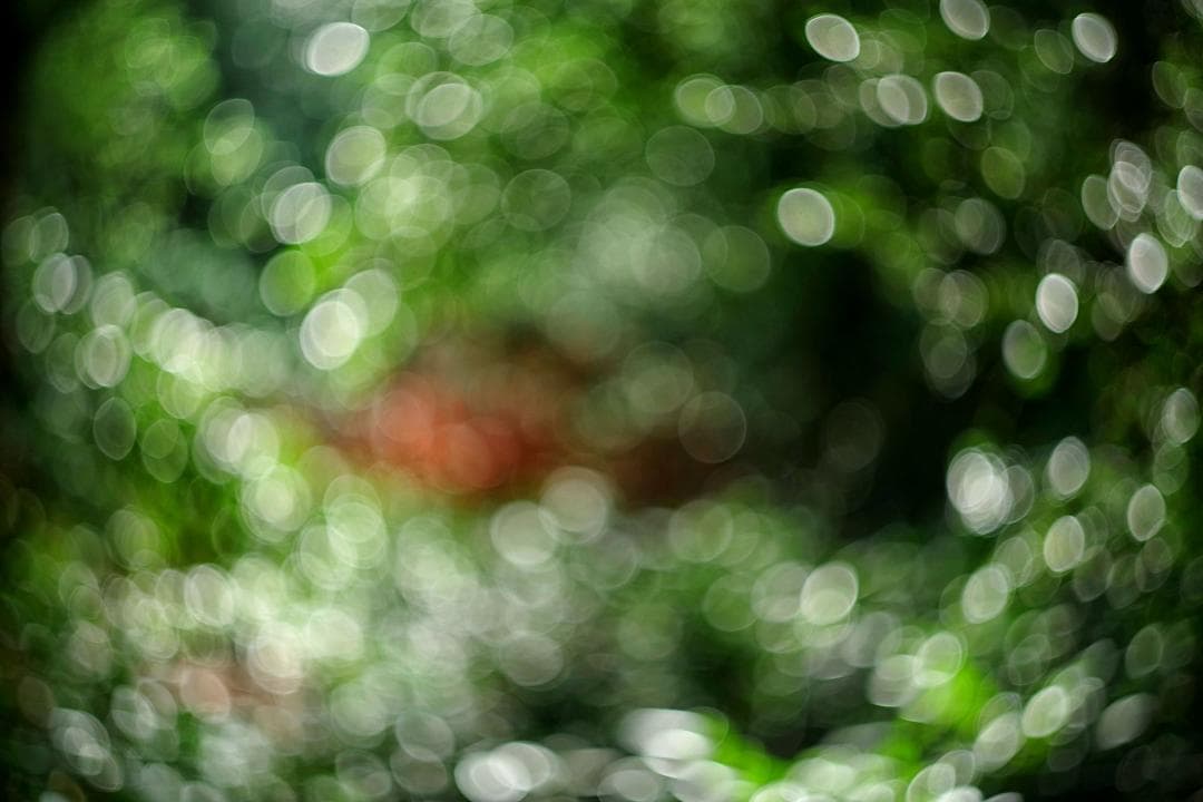 30【希少】Helios44 　美品　初期型ゼブラ　ヘリオス44　ぐるぐるボケ