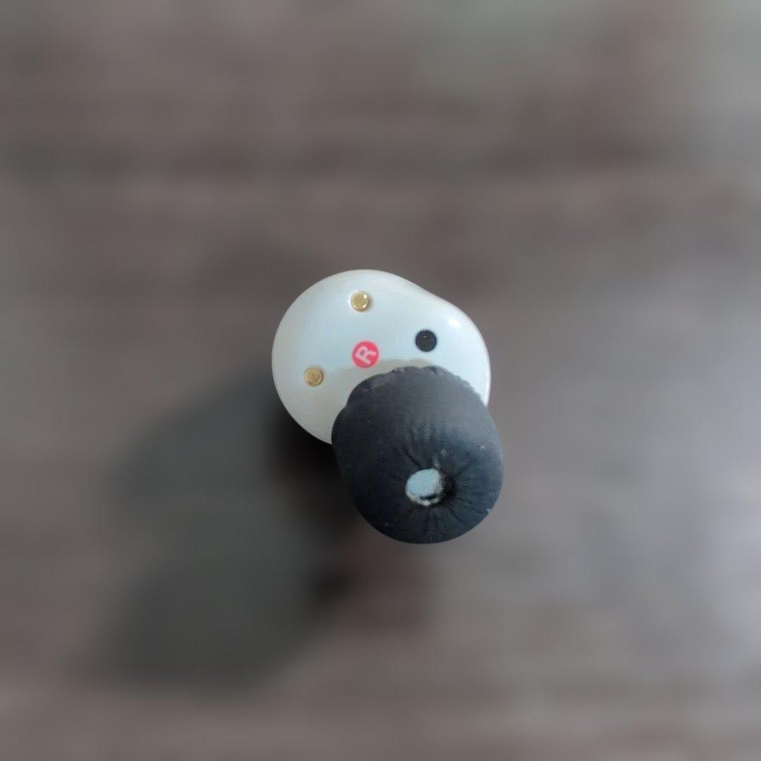 【本体新品】sony wf-1000xm5