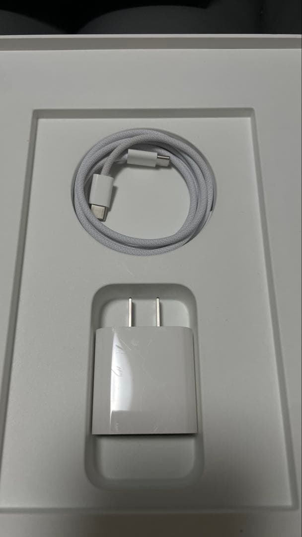 【いっちー】iPad Air 11インチ256