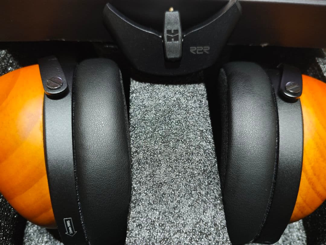 HIFIMAN HE-R10 Dynamic Version　r2r付き