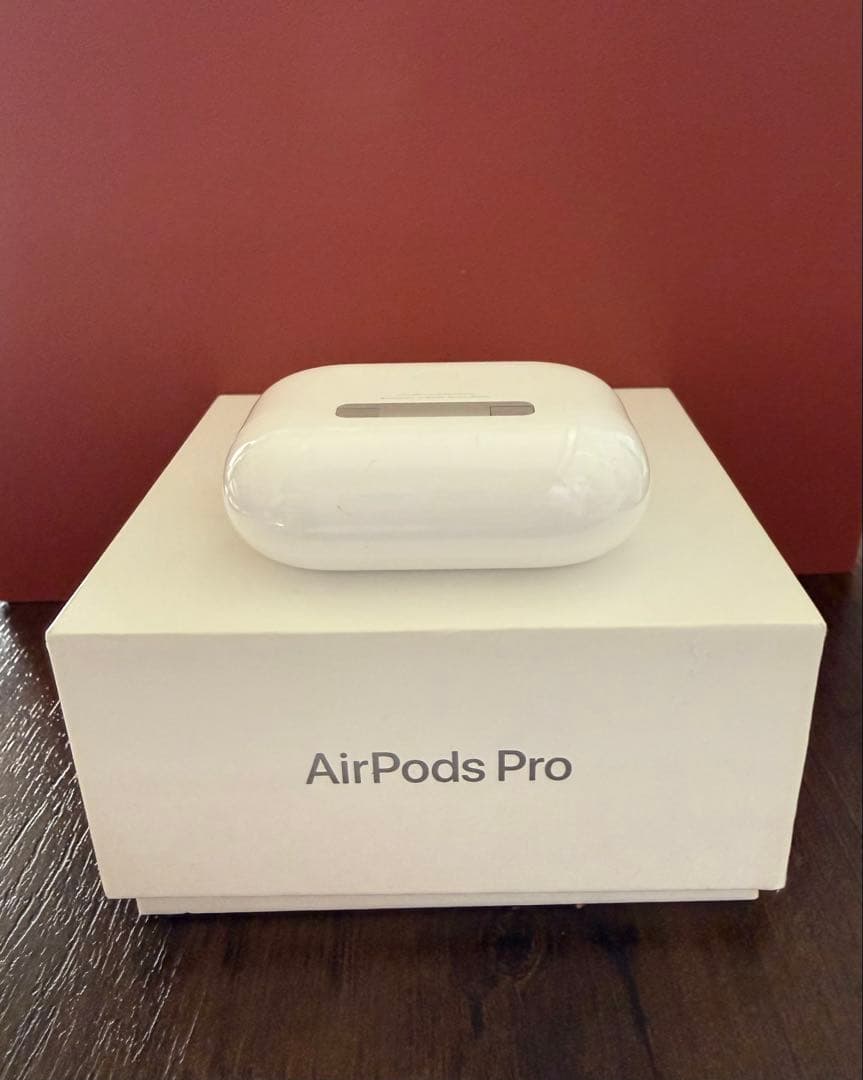 AirPods Pro 本体