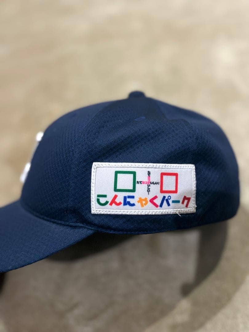 埼玉西武ライオンズ　選手実使用　帽子 NPB