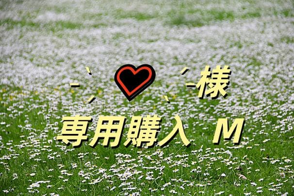 ˗ˋˏ ♡ ˎˊ˗購入 M