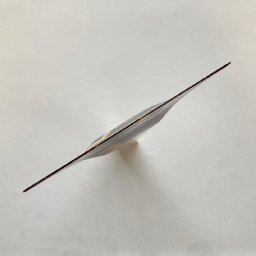 三味線 撥 バチ 鼈甲 べっ甲 ケース付き 弦楽器 音楽 レトロ