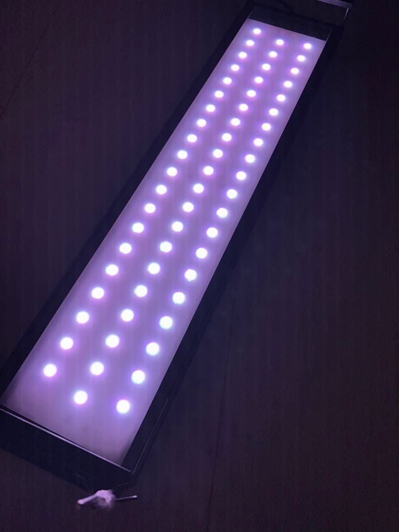 RGBライト　10周年モデル　Ｃｈｉｈｉｒｏｓ　ＬＥＤ