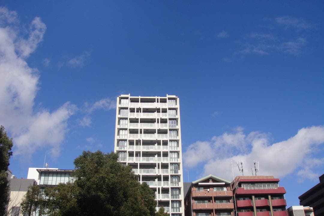 【スマホ転送OK】ソニー SONY Cyber-shot DSC-T90 ピンク