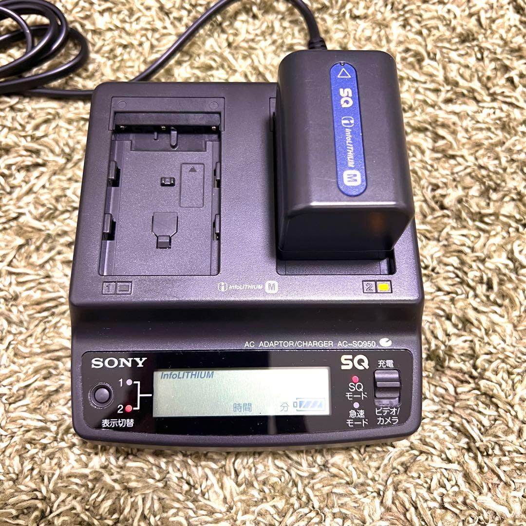 通電OK SONY DCR-TRV30 miniDV ハンディカム 現状渡し