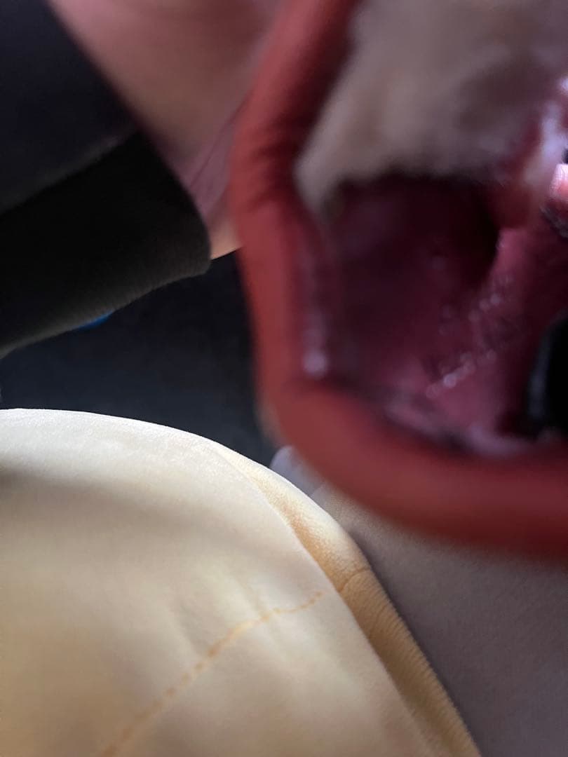 グローブ使用期間1ヶ月 ほぼ新品 欠陥なし