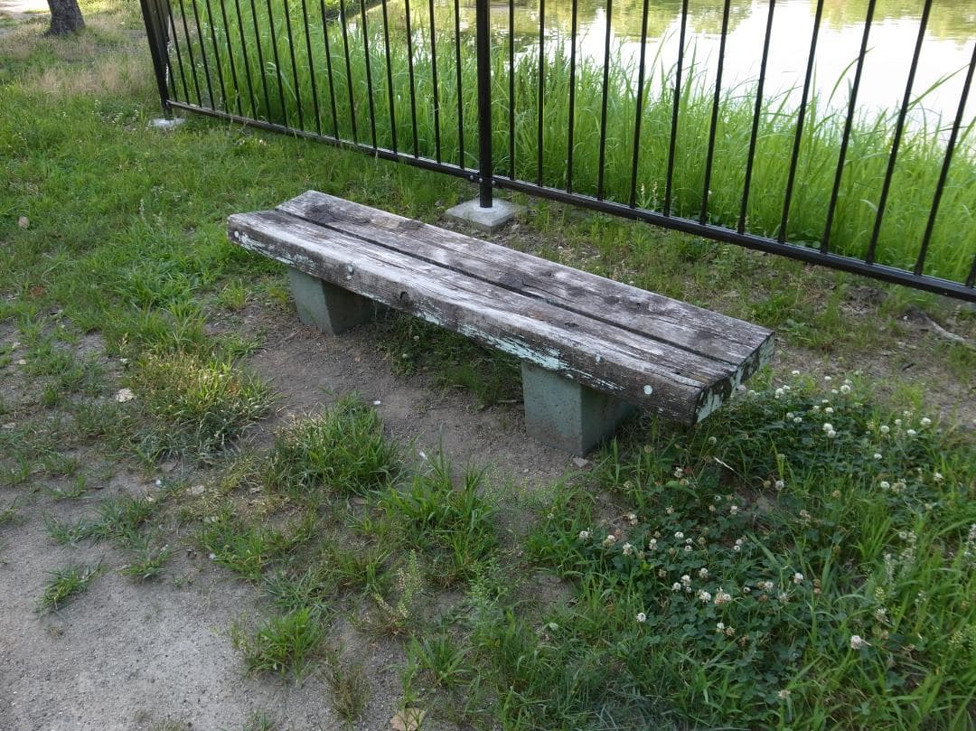 ✨ショット数2395回で美品✨インスタ撮影✨GR DIGITAL III　586