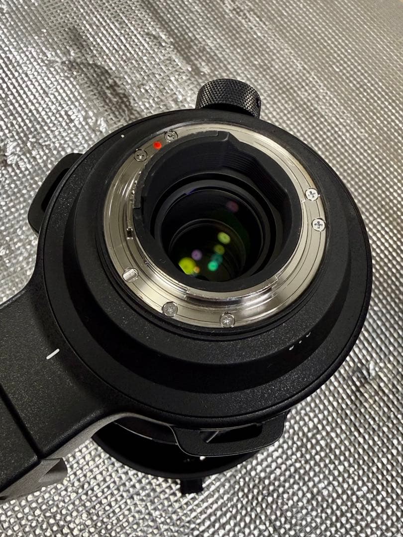 SIGMAズームレンズSports60-600mmF4.5-6.3(Nikon)