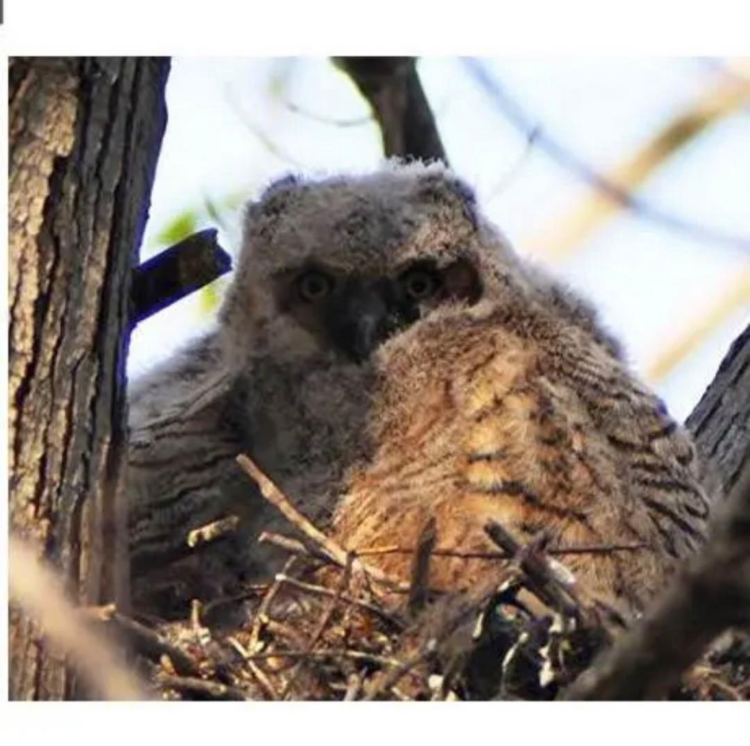 軽量コンパクト！Canon一眼レフ対応！便利ズームレンズ！遠方から撮影！おすすめ