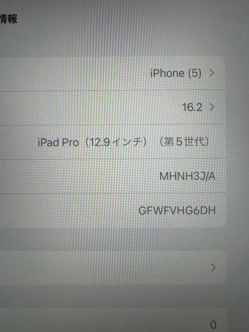 第5世代Apple iPad Pro 12.9インチ　256G スペースグレー