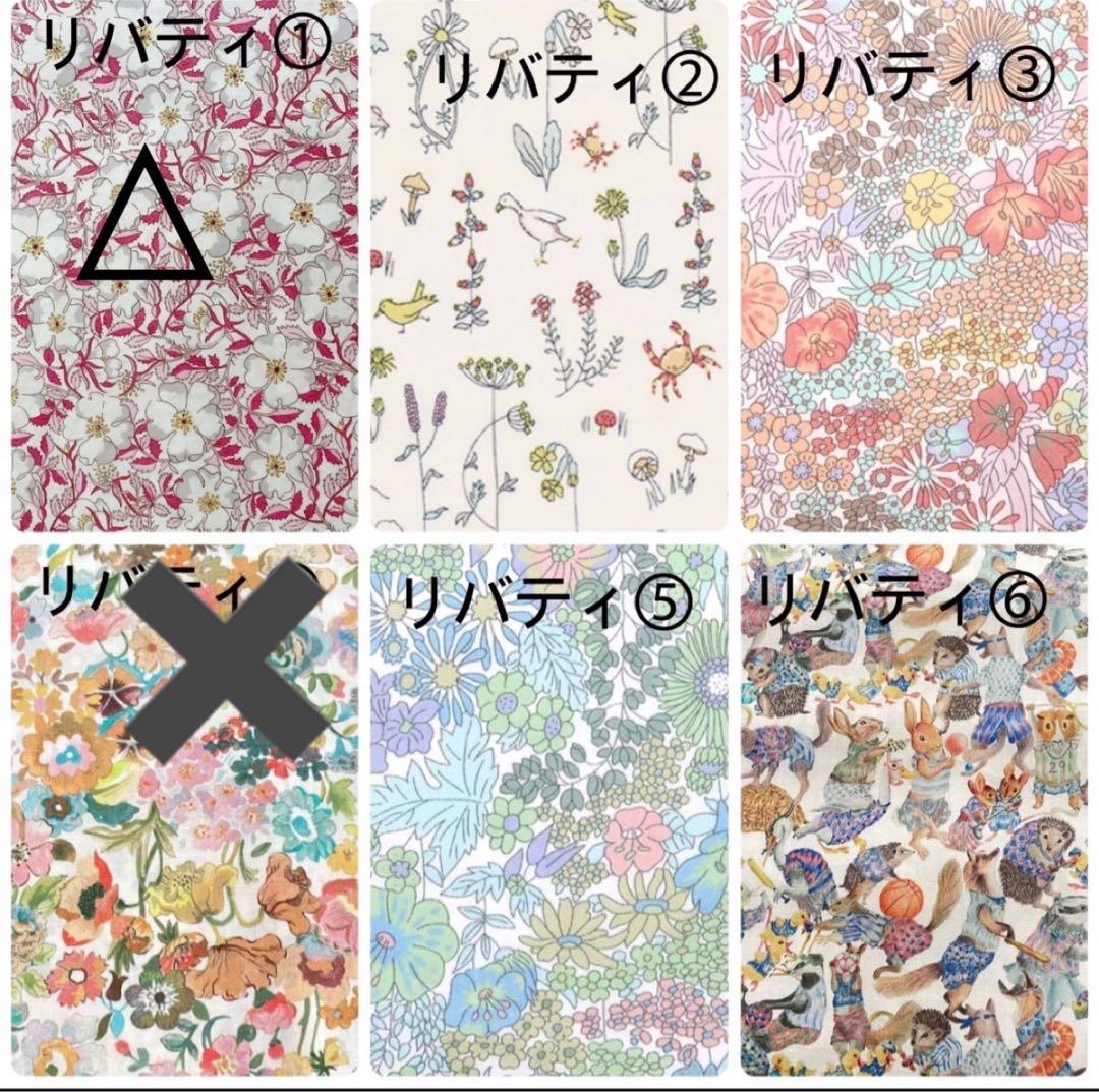 梨ページイジィデミニサイズクラシック25サイズバッグインバッグ