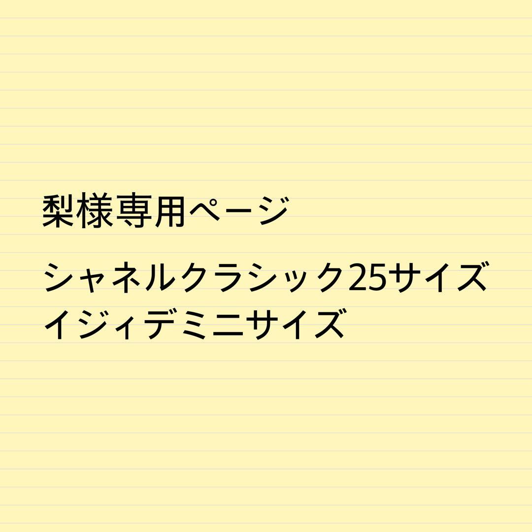 梨ページイジィデミニサイズクラシック25サイズバッグインバッグ