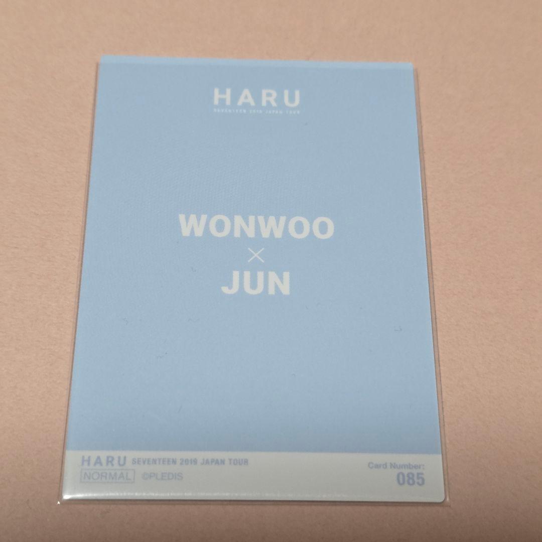 SEVENTEEN セブチ　ウォヌ　ジュン　トレカ　Haru