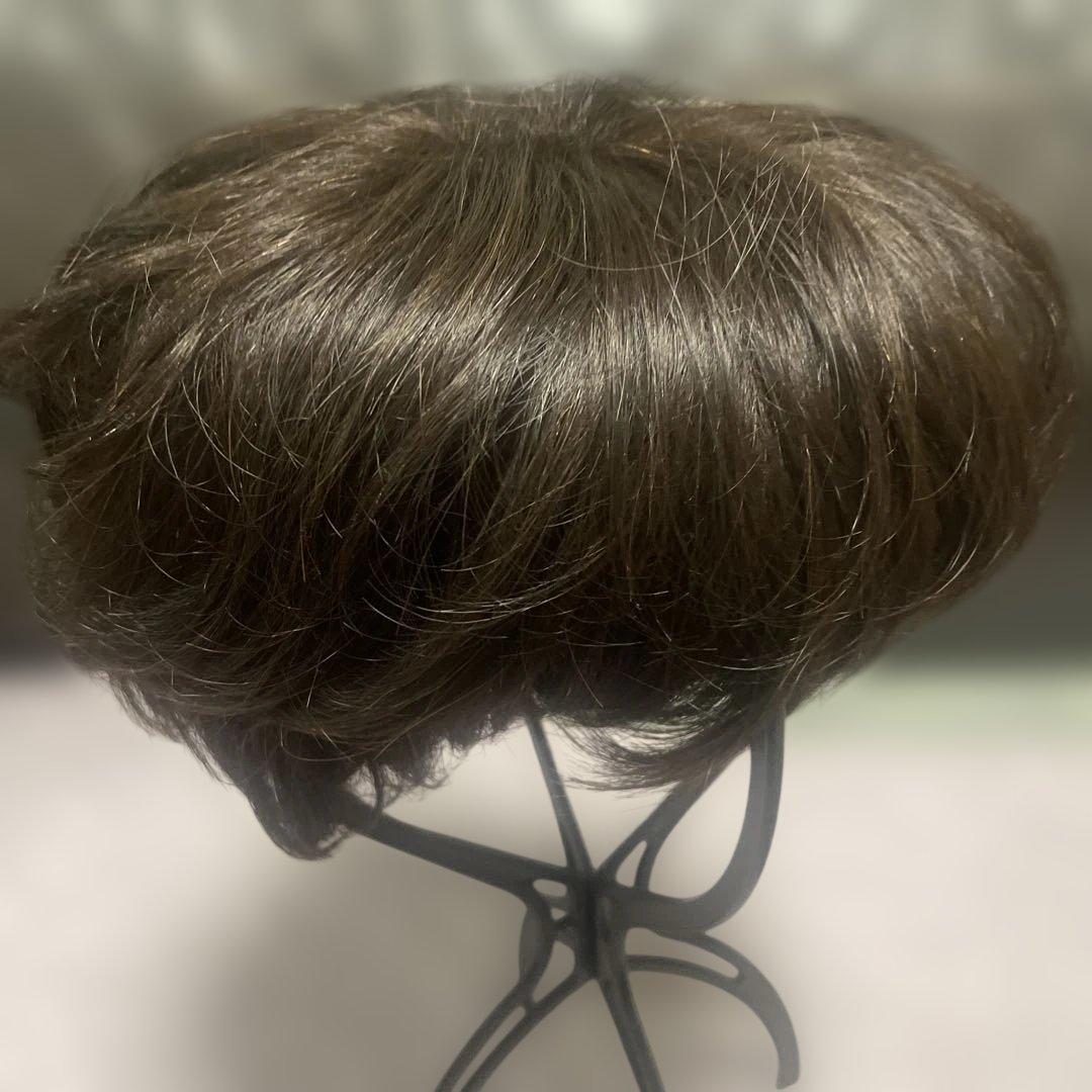 NAO-ART ダークブラウン ショートウィッグ　ART005#6
