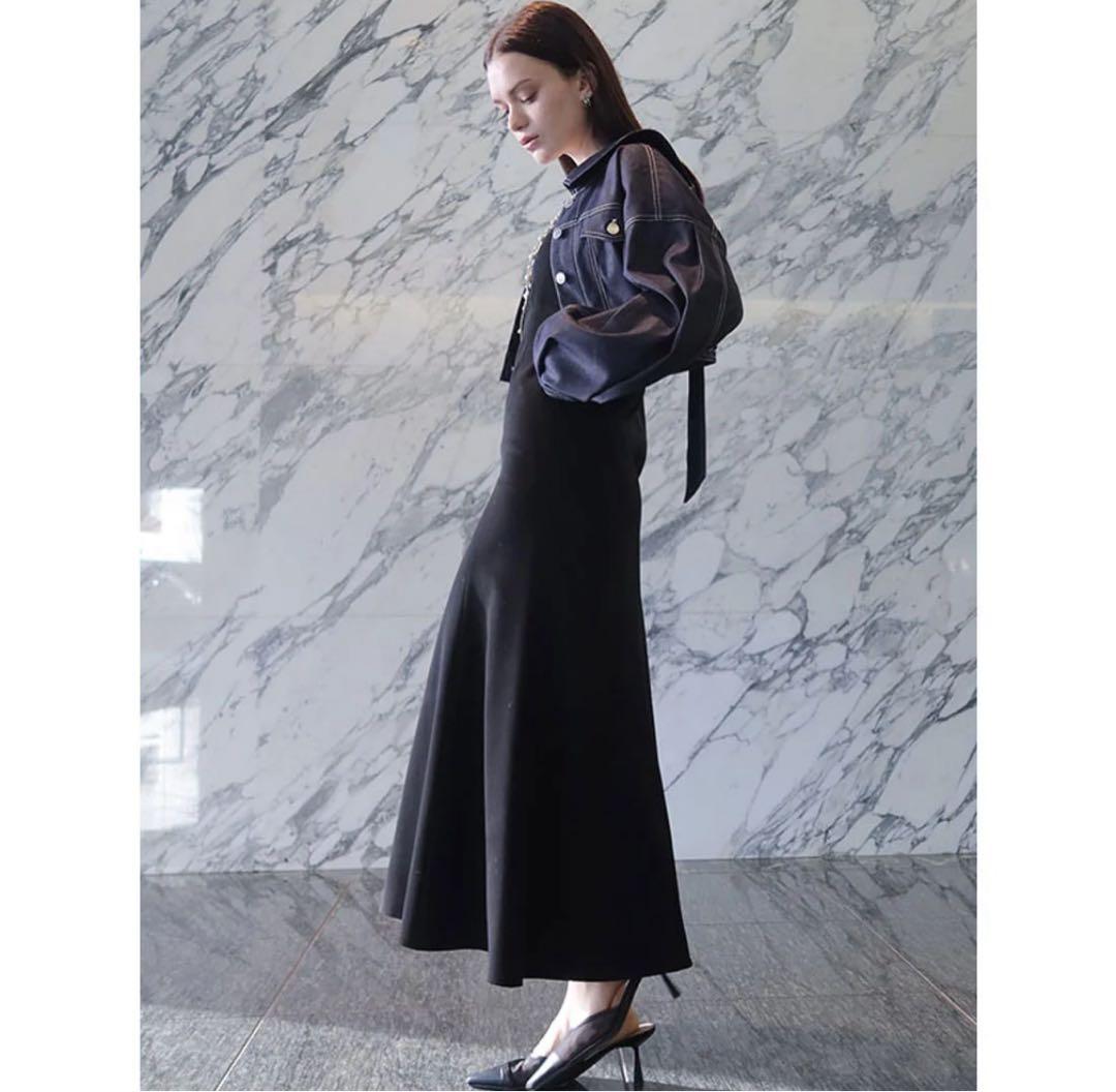 eimy istoire デニムライクバックシャンジャケット （INDIGO）