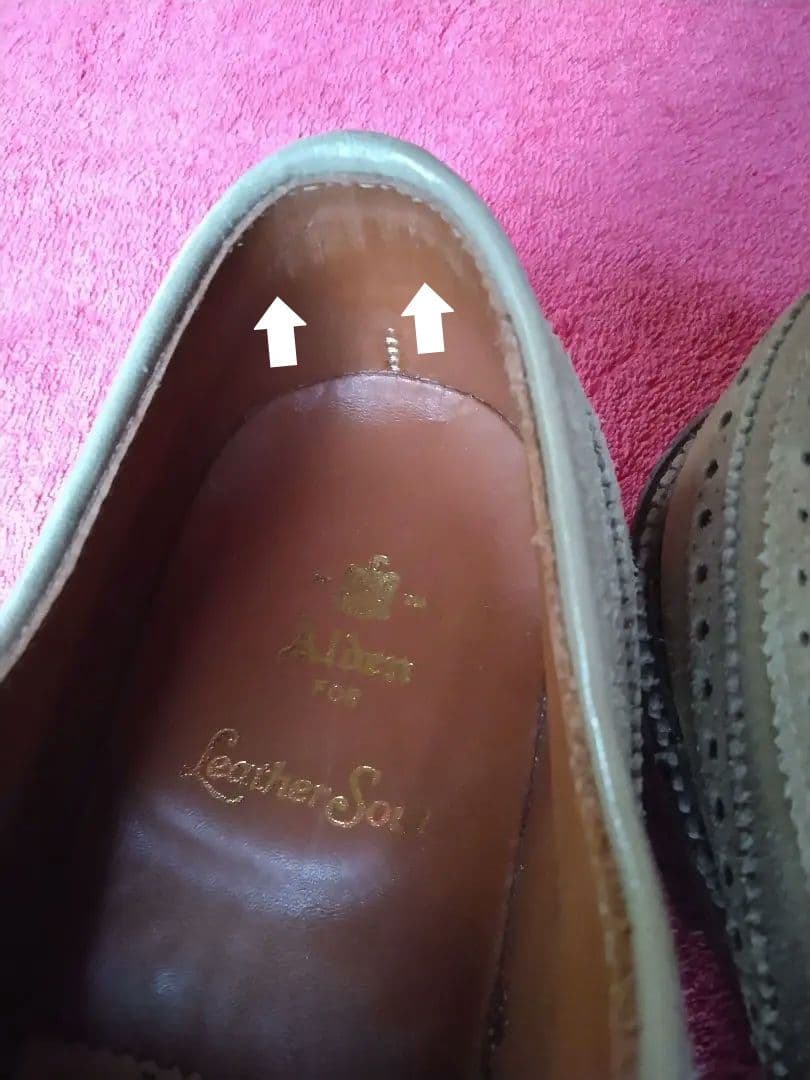 カタログ＆キルト付☆新品！オールデン７ E バリーラスト☆ロングウイング☆別注品