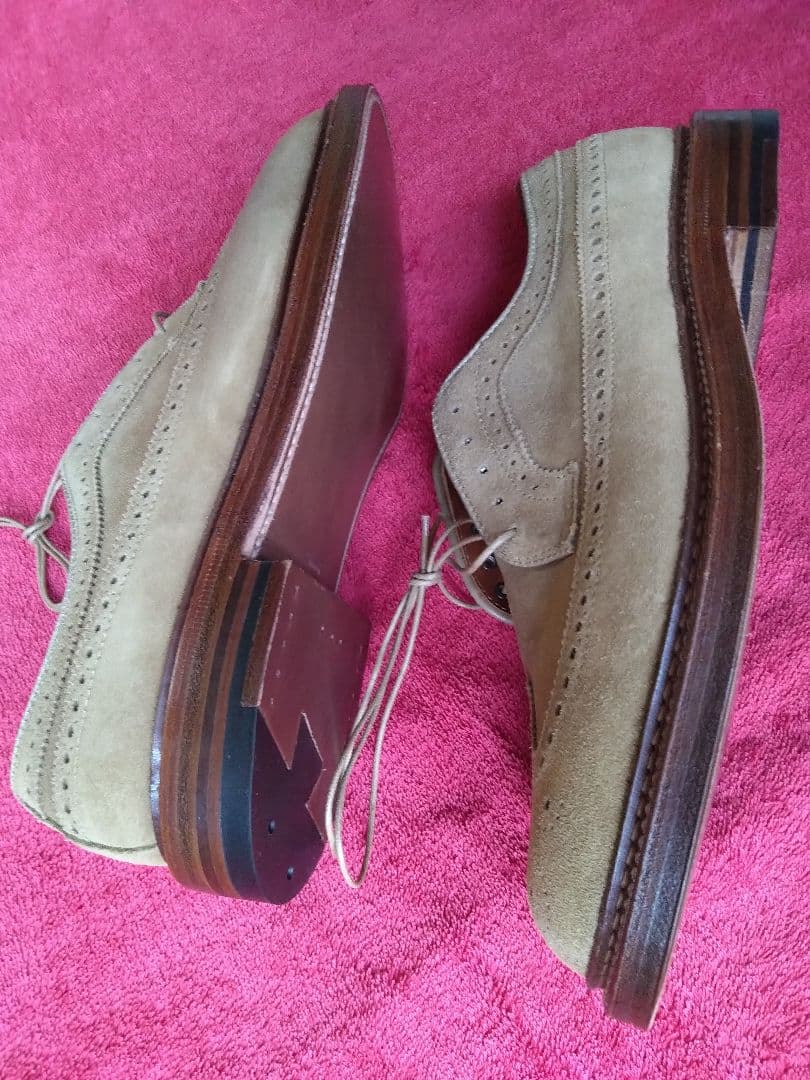 カタログ＆キルト付☆新品！オールデン７ E バリーラスト☆ロングウイング☆別注品