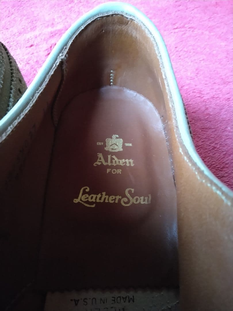 カタログ＆キルト付☆新品！オールデン７ E バリーラスト☆ロングウイング☆別注品