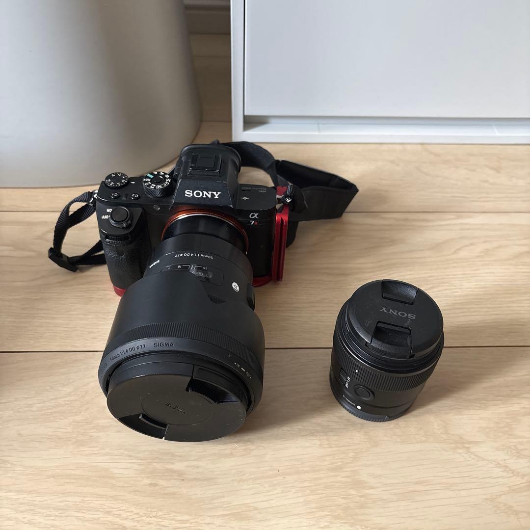 ぱ*ん様 α7RⅡ sigma50mm F 1.4