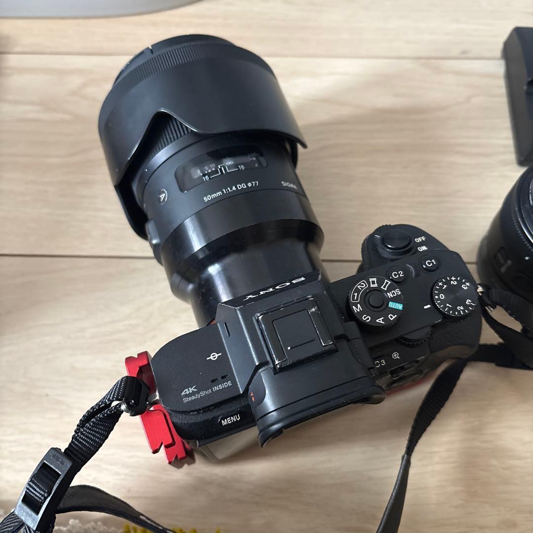 ぱ*ん様 α7RⅡ sigma50mm F 1.4