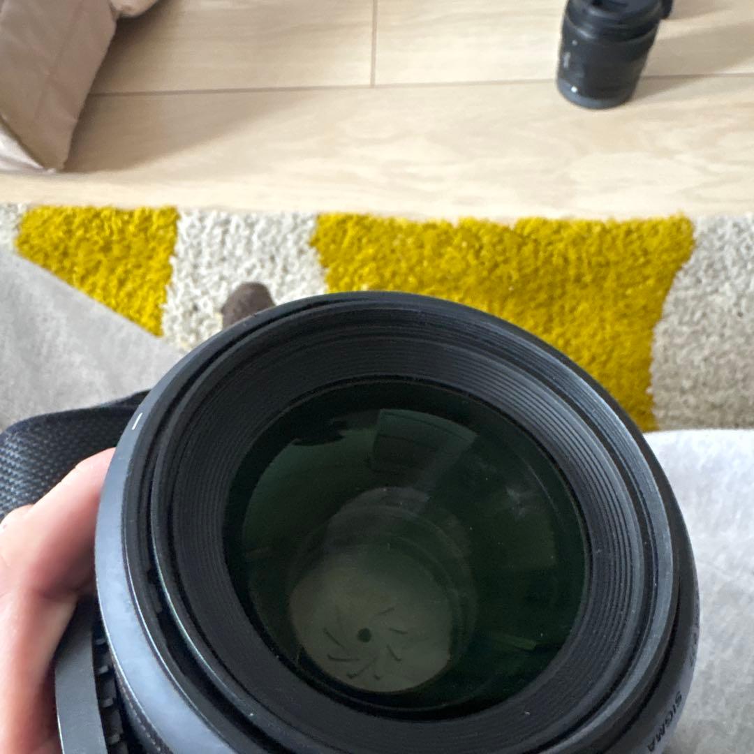 ぱ*ん様 α7RⅡ sigma50mm F 1.4