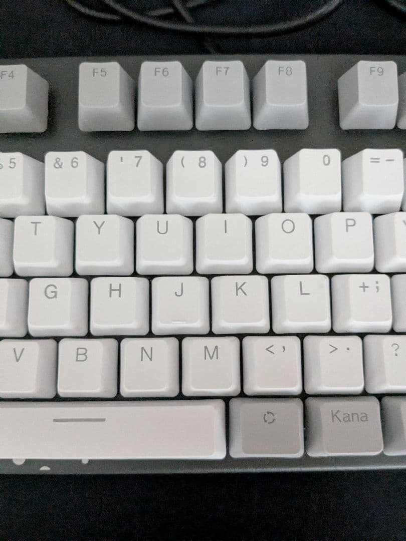 リアルフォース REALFORCE GX1 獅白ぼたん コラボ