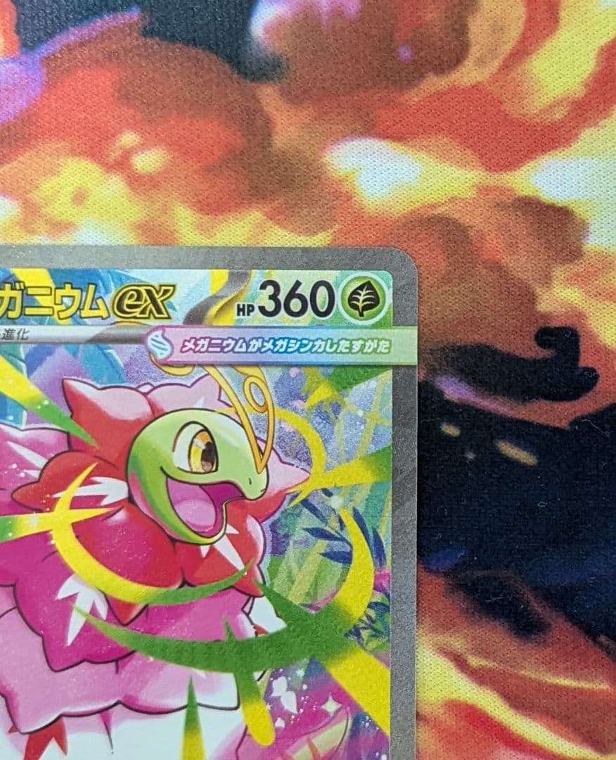 スタートデッキ100 バトルコレクション 101/100 メガメガニウムex