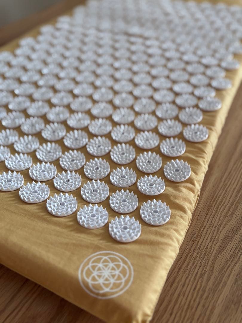 シャクティマット　レベル1【正規品】