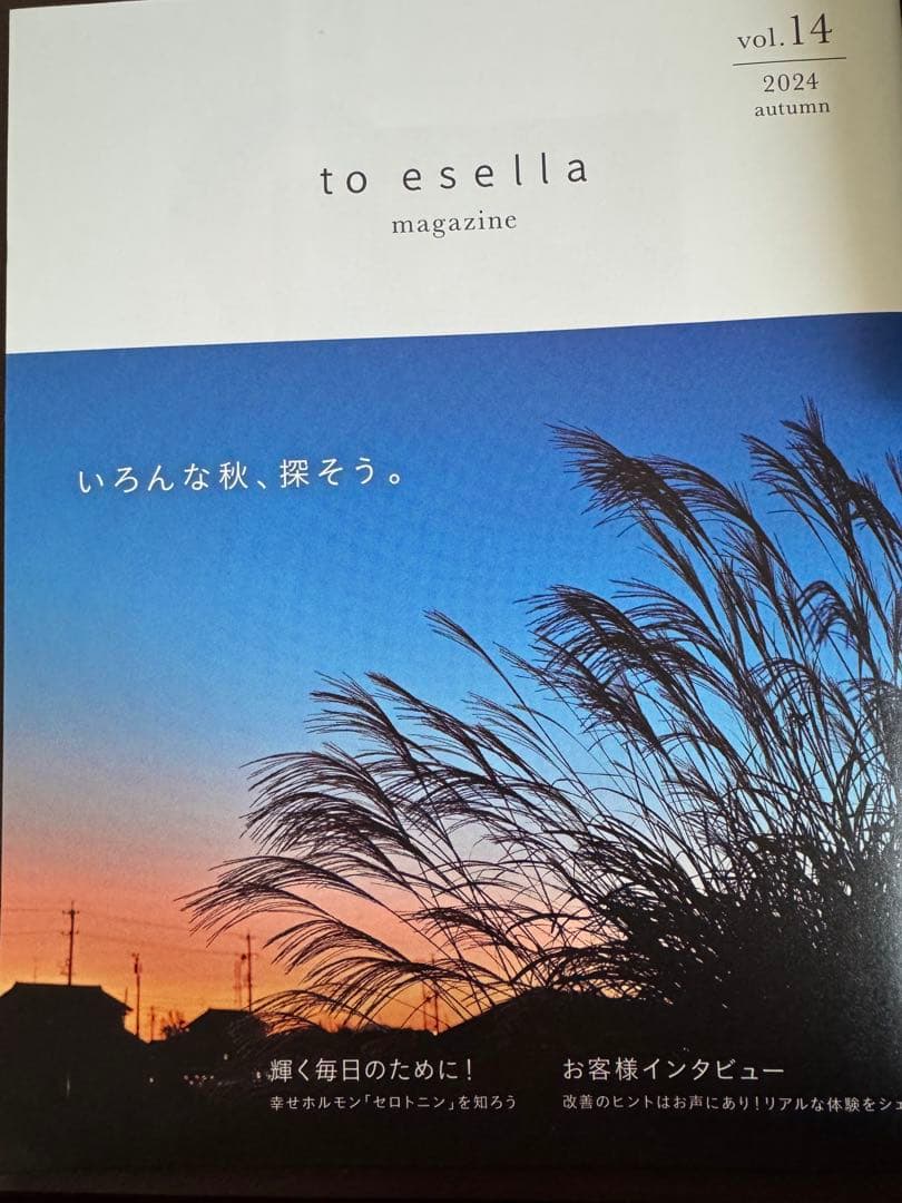 ★ままごろう★ to esella ホワイトハンドセラム２本セット