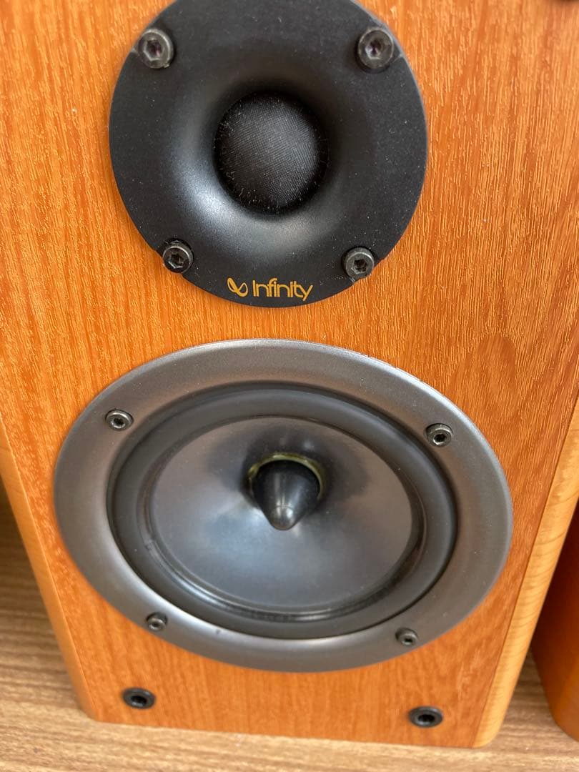 インフィニティ　リファレンス10E ペア